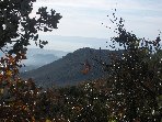 Contrada_Ilice - 20091230 009.jpg